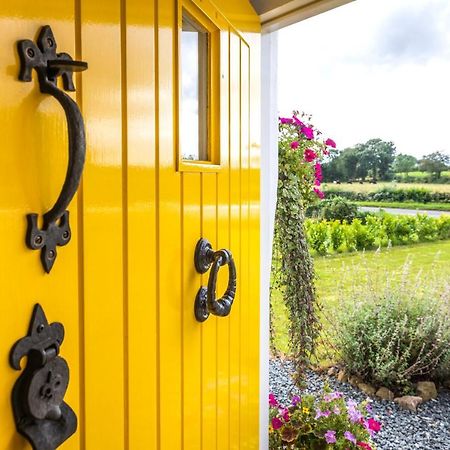 Katie'S Cottage Bellaghy Eksteriør billede